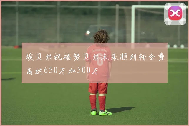 埃贝尔祝福努贝尔未来顺利转会费高达650万加500万