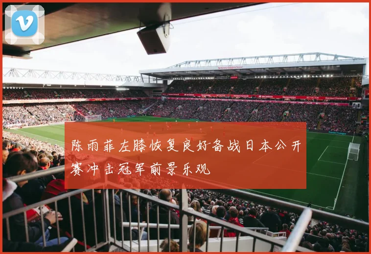 陈雨菲左膝恢复良好备战日本公开赛冲击冠军前景乐观