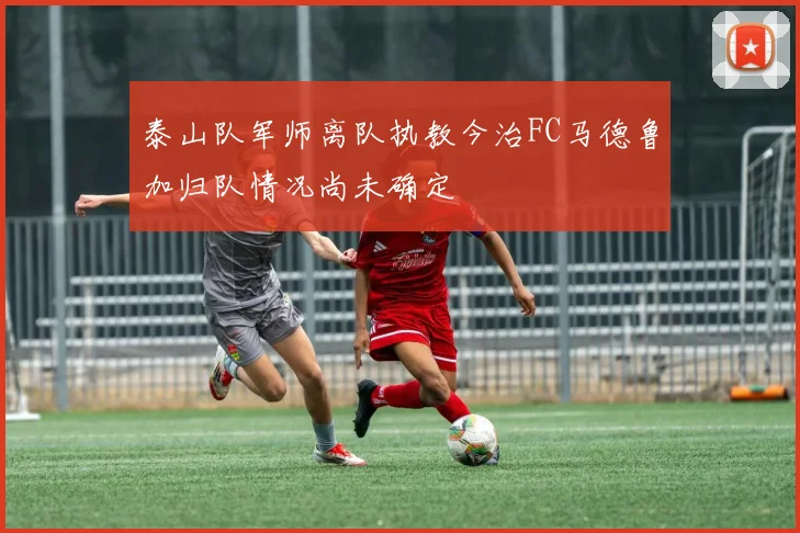 泰山队军师离队执教今治FC马德鲁加归队情况尚未确定